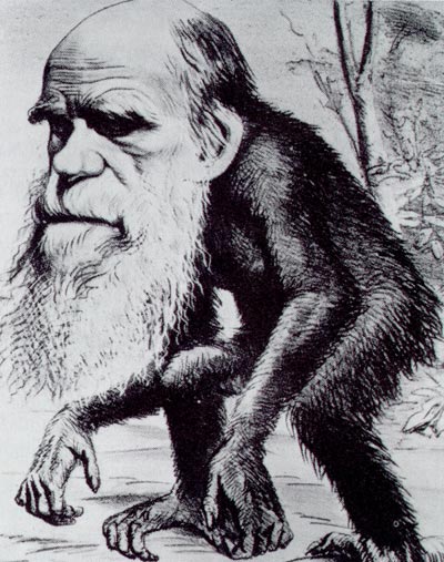 Darwin vino del mono