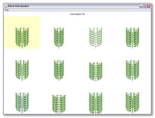 The Blind Watchmaker