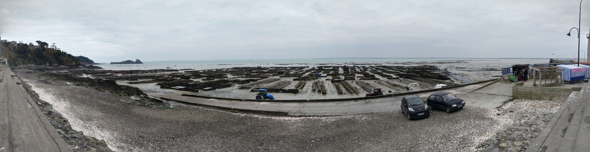 Panoramic with lots of oysters beds and the popular Oyster Market